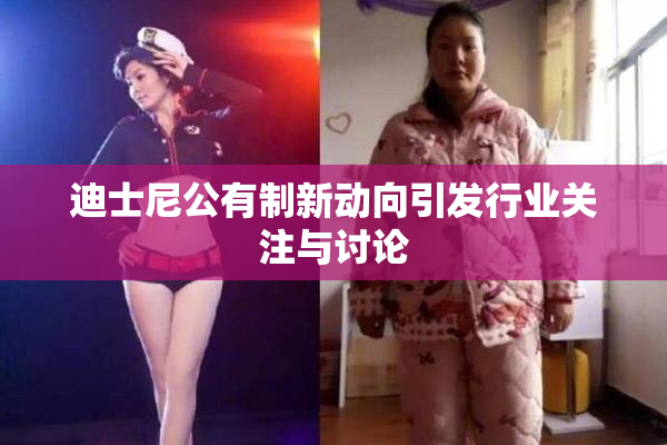 迪士尼公有制新动向引发行业关注与讨论