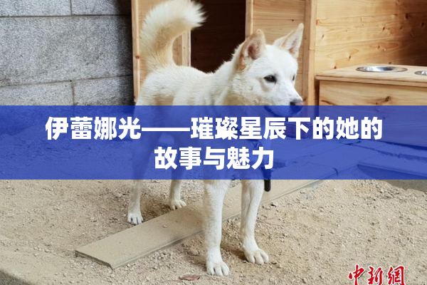 伊蕾娜光——璀璨星辰下的她的故事与魅力