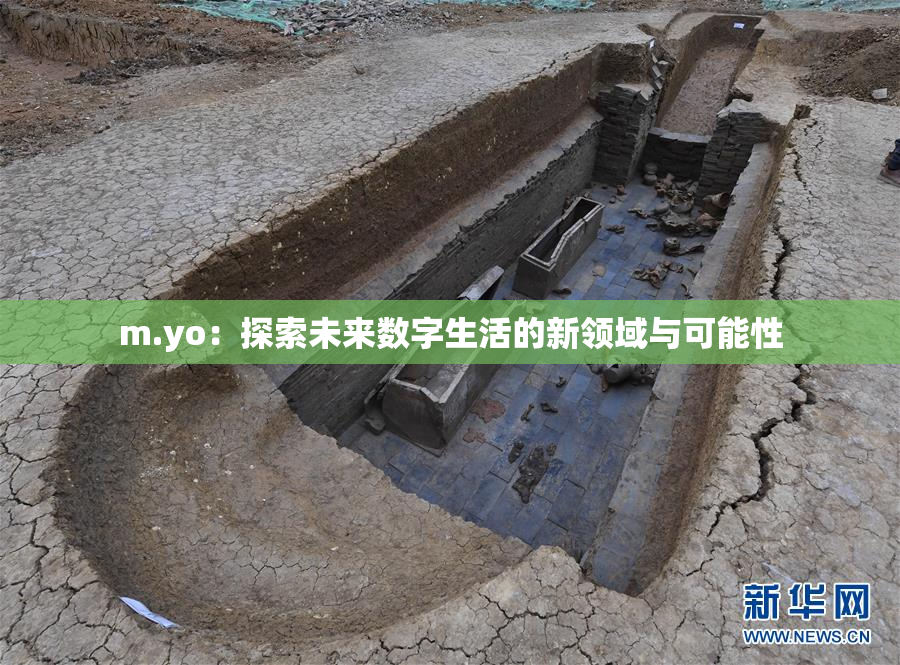 m.yo：探索未来数字生活的新领域与可能性