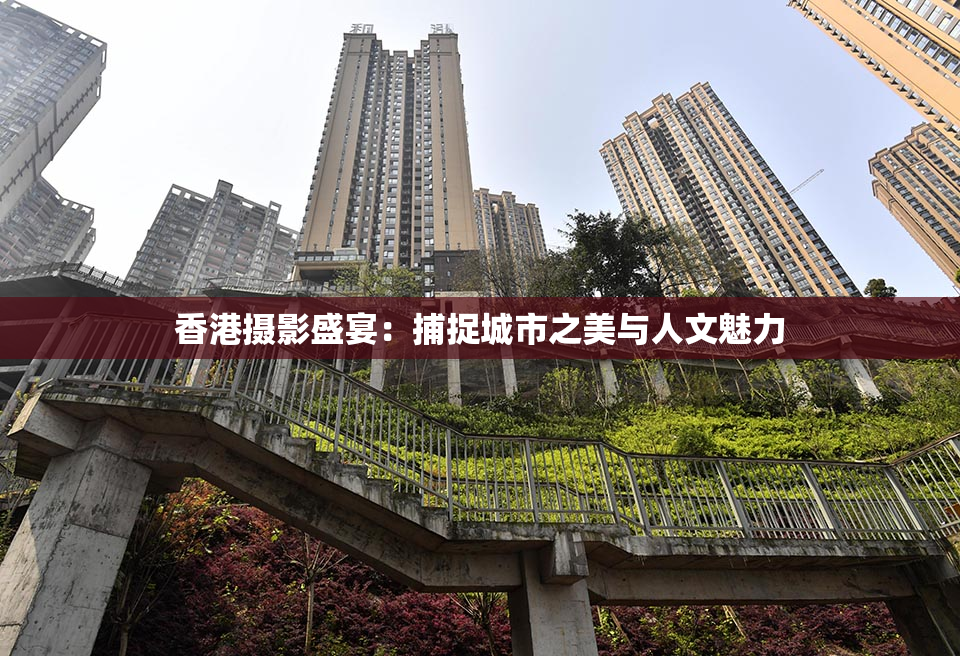 香港摄影盛宴：捕捉城市之美与人文魅力