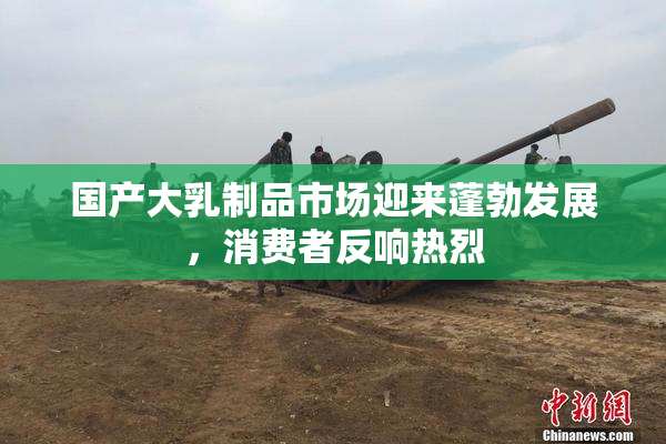 国产大乳制品市场迎来蓬勃发展，消费者反响热烈