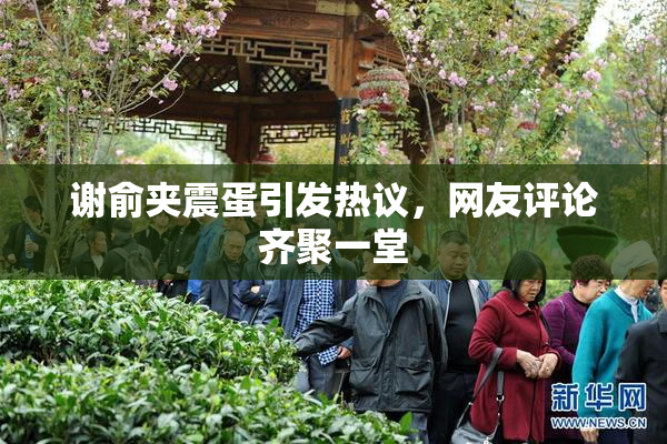 谢俞夹震蛋引发热议，网友评论齐聚一堂