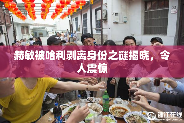 赫敏被哈利剥离身份之谜揭晓，令人震惊