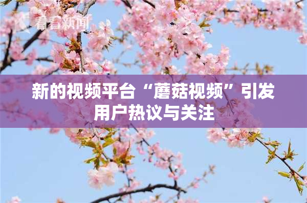 新的视频平台“蘑菇视频”引发用户热议与关注