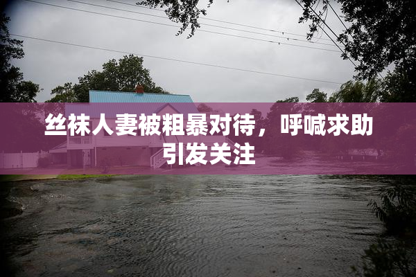 丝袜人妻被粗暴对待，呼喊求助引发关注