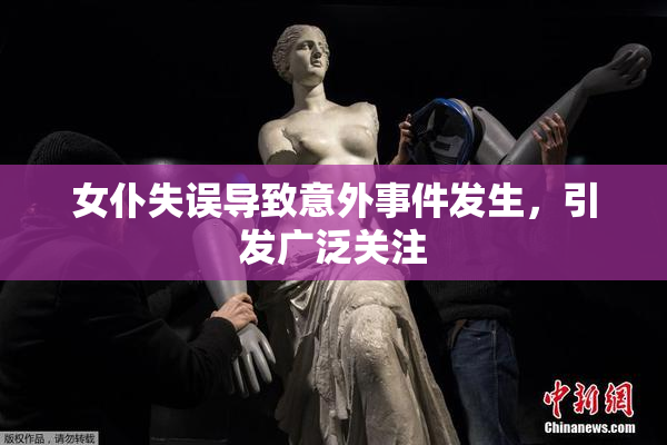 女仆失误导致意外事件发生，引发广泛关注