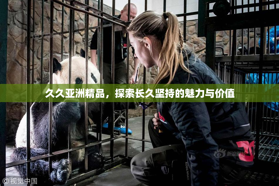 久久亚洲精品，探索长久坚持的魅力与价值