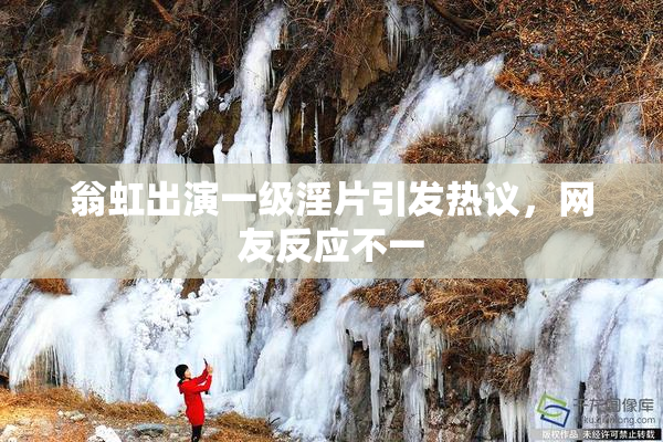 翁虹出演一级淫片引发热议，网友反应不一