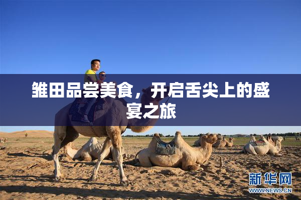 雏田品尝美食，开启舌尖上的盛宴之旅