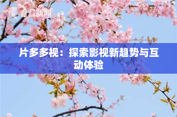 片多多视：探索影视新趋势与互动体验
