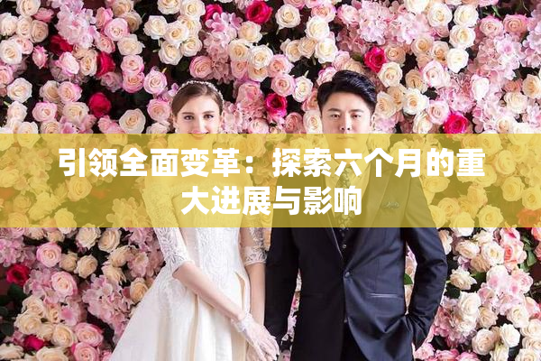 引领全面变革：探索六个月的重大进展与影响