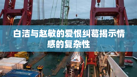 白洁与赵敏的爱恨纠葛揭示情感的复杂性