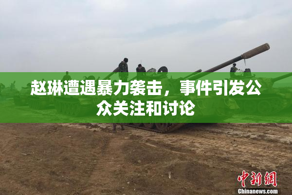 赵琳遭遇暴力袭击，事件引发公众关注和讨论