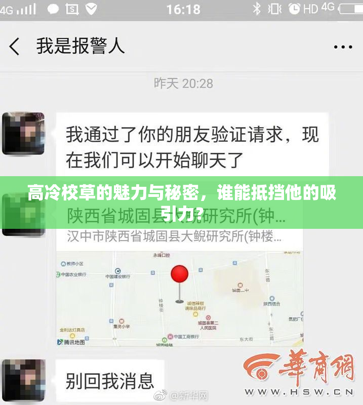 高冷校草的魅力与秘密，谁能抵挡他的吸引力？