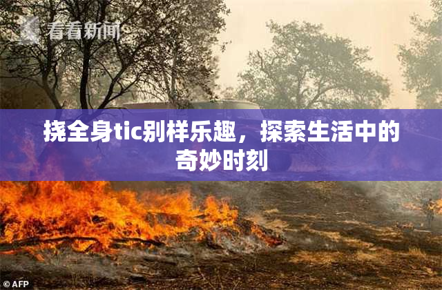 挠全身tic别样乐趣，探索生活中的奇妙时刻