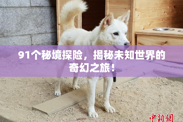 91个秘境探险，揭秘未知世界的奇幻之旅！