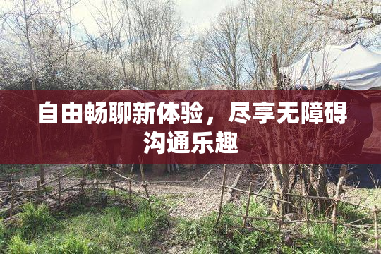 自由畅聊新体验，尽享无障碍沟通乐趣