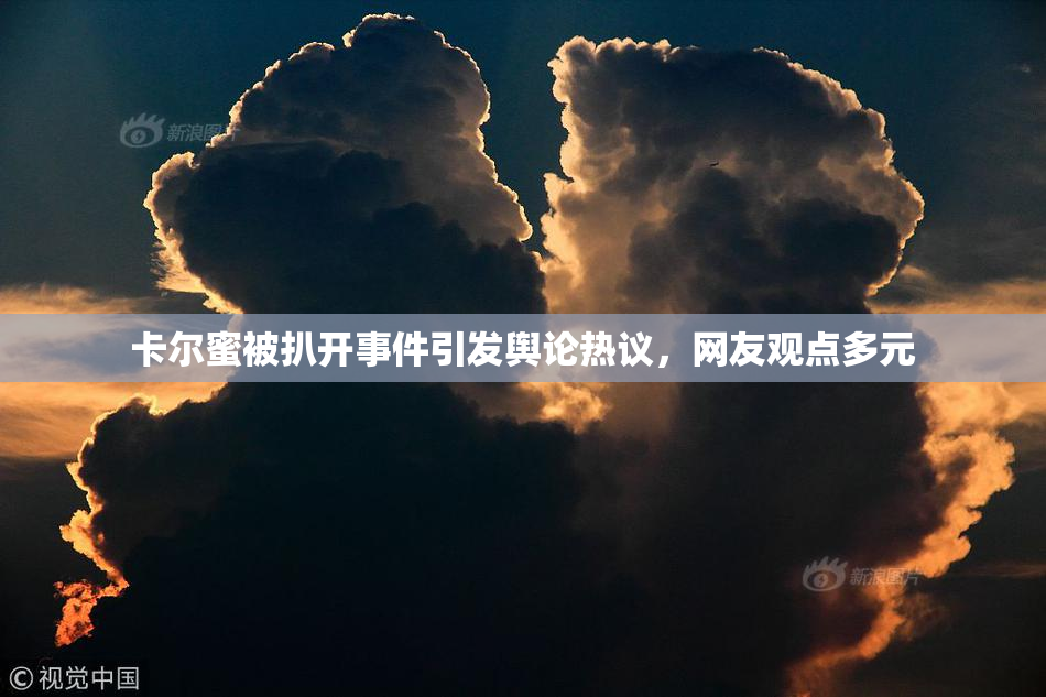 卡尔蜜被扒开事件引发舆论热议，网友观点多元