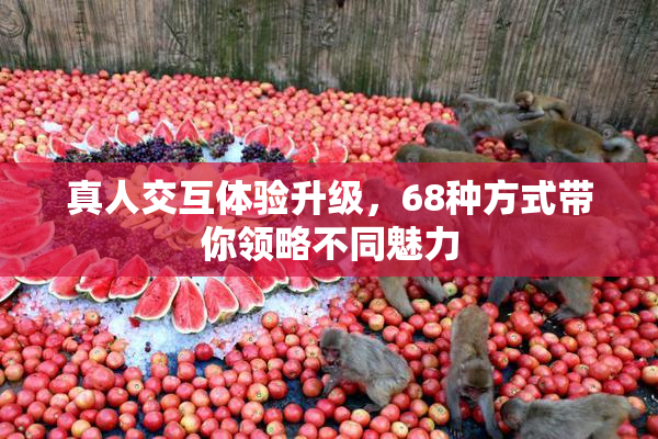 真人交互体验升级，68种方式带你领略不同魅力