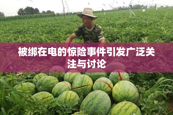 被绑在电的惊险事件引发广泛关注与讨论