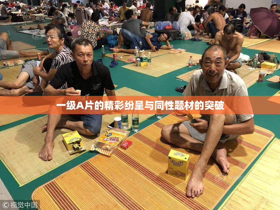 一级A片的精彩纷呈与同性题材的突破