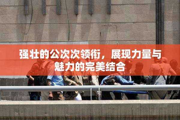 强壮的公次次领衔，展现力量与魅力的完美结合