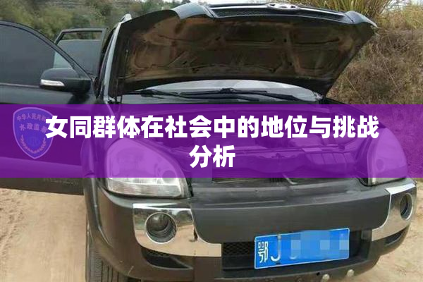 女同群体在社会中的地位与挑战分析
