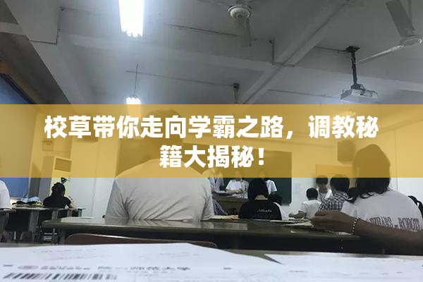 校草带你走向学霸之路，调教秘籍大揭秘！