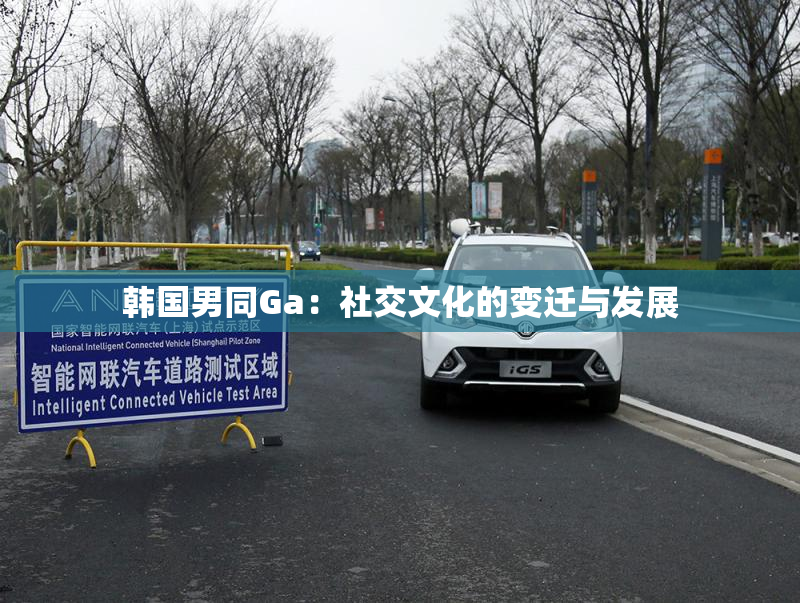 韩国男同Ga：社交文化的变迁与发展