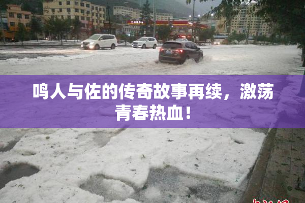 鸣人与佐的传奇故事再续，激荡青春热血！