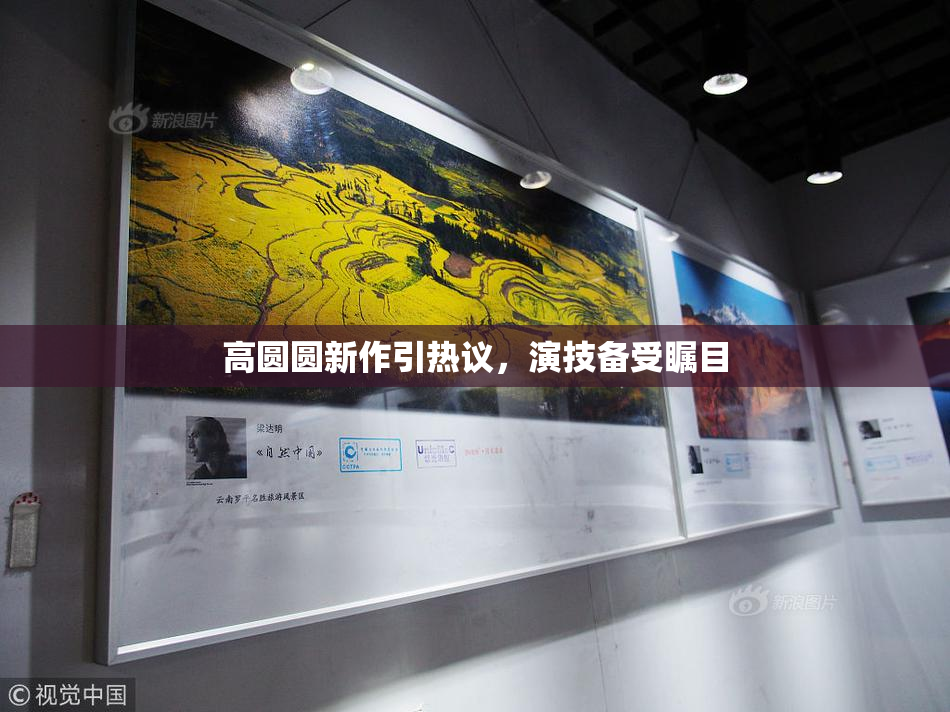 高圆圆新作引热议，演技备受瞩目