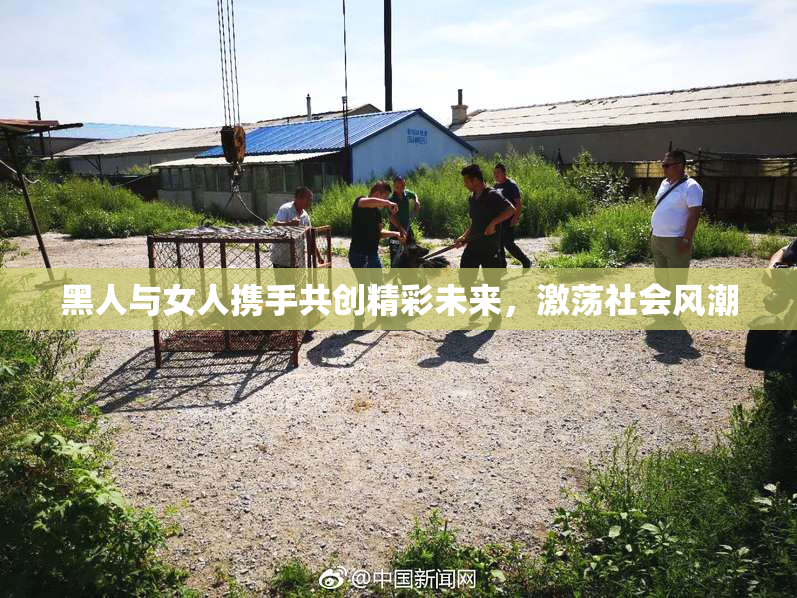 黑人与女人携手共创精彩未来，激荡社会风潮