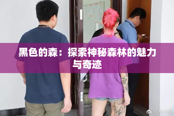 黑色的森：探索神秘森林的魅力与奇迹