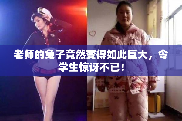老师的兔子竟然变得如此巨大，令学生惊讶不已！