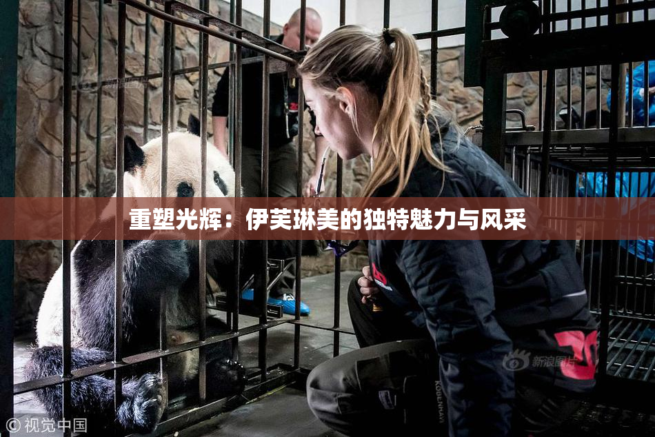 重塑光辉：伊芙琳美的独特魅力与风采