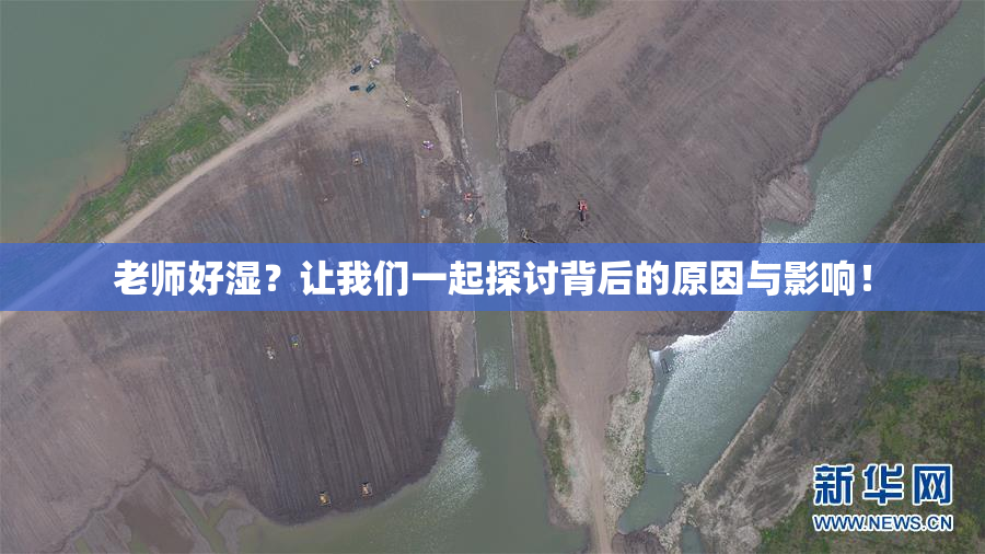 老师好湿？让我们一起探讨背后的原因与影响！