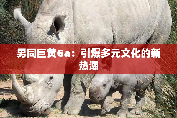 男同巨黄Ga：引爆多元文化的新热潮