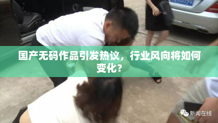 国产无码作品引发热议，行业风向将如何变化？