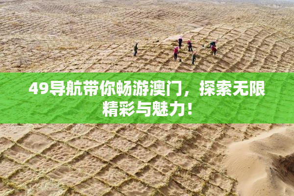 49导航带你畅游澳门，探索无限精彩与魅力！