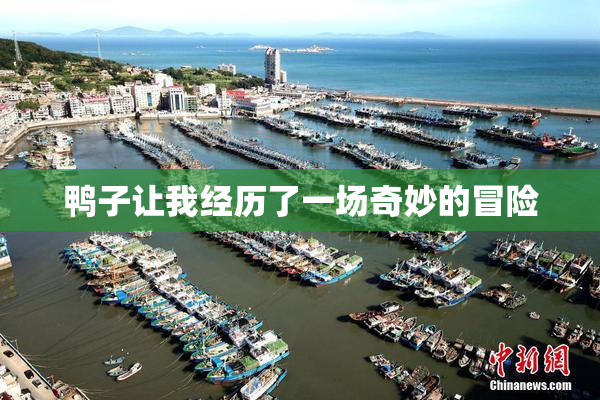 鸭子让我经历了一场奇妙的冒险