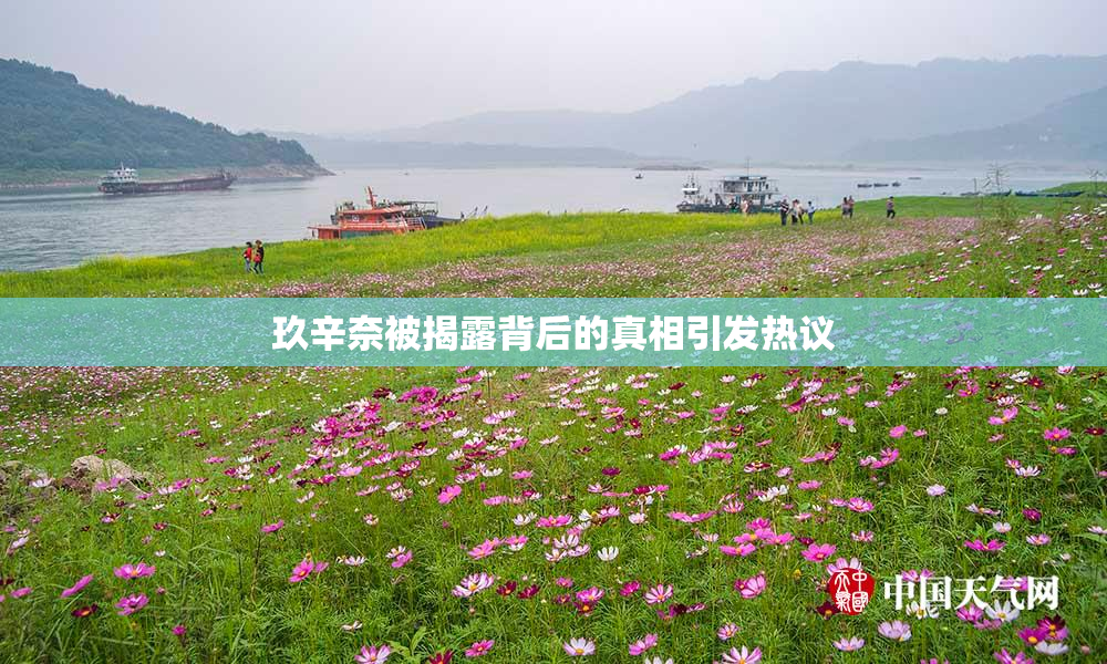 玖辛奈被揭露背后的真相引发热议