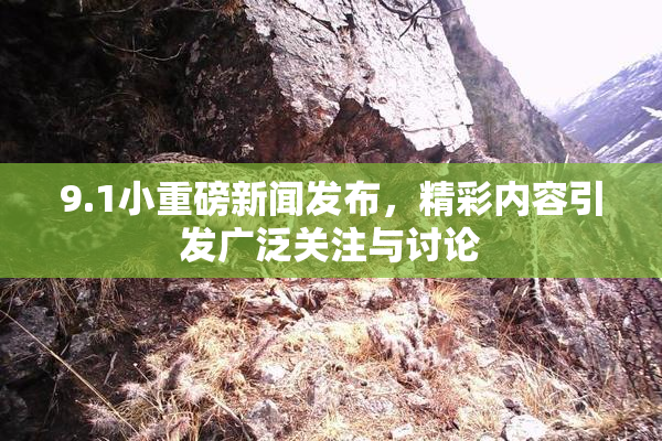 9.1小重磅新闻发布，精彩内容引发广泛关注与讨论