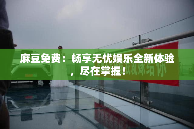 麻豆免费：畅享无忧娱乐全新体验，尽在掌握！