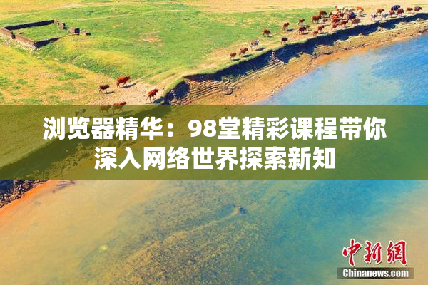 浏览器精华：98堂精彩课程带你深入网络世界探索新知