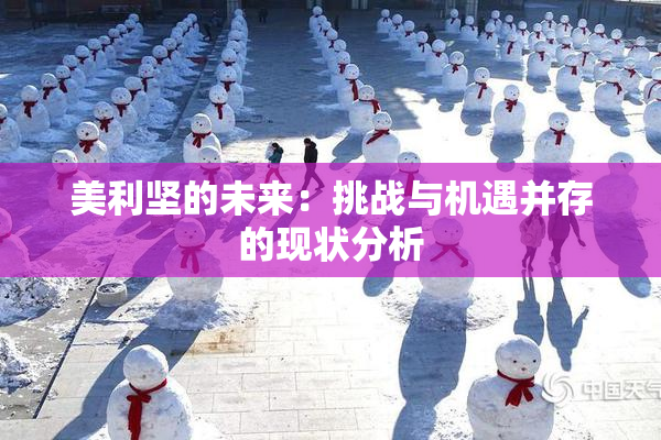 美利坚的未来：挑战与机遇并存的现状分析