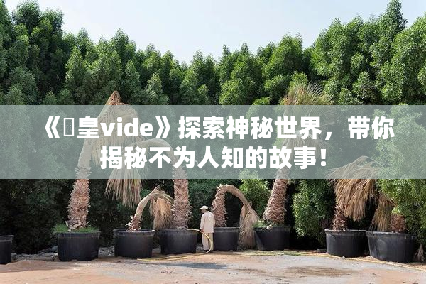《嘼皇vide》探索神秘世界，带你揭秘不为人知的故事！