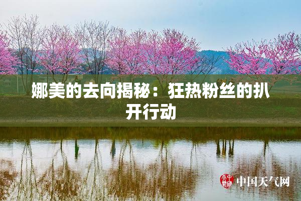 娜美的去向揭秘：狂热粉丝的扒开行动