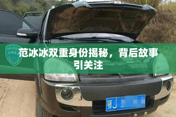 范冰冰双重身份揭秘，背后故事引关注