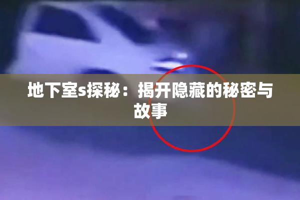 地下室s探秘：揭开隐藏的秘密与故事