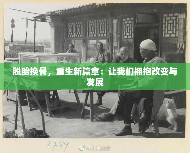 脱胎换骨，重生新篇章：让我们拥抱改变与发展